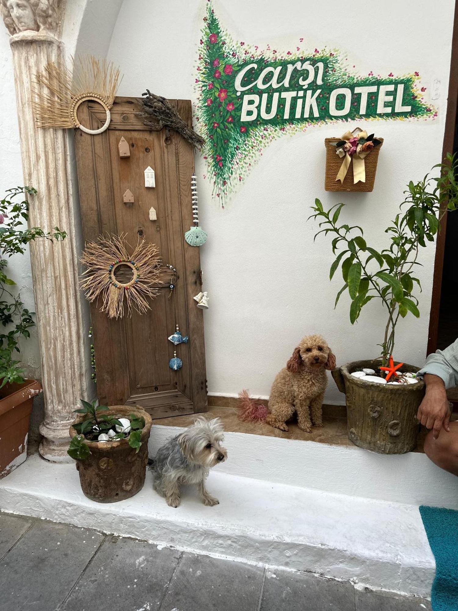 Carsi Butik Otel בודרום מראה חיצוני תמונה